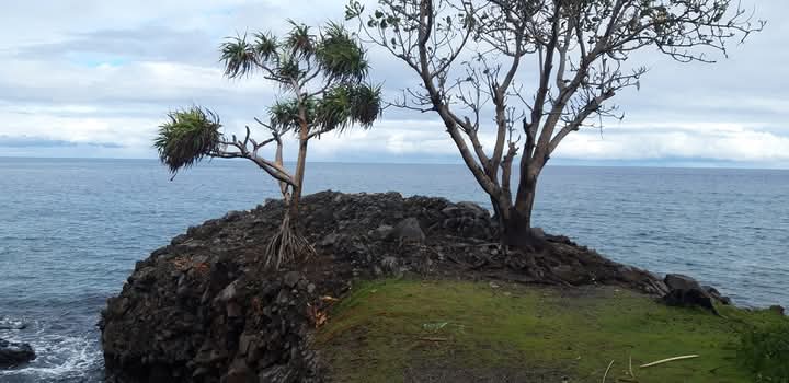 Package Diving Underwater Volcano in  Mahengetang Sangihe Island 3 days 2 night (fullboard)